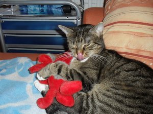 Lilly kuschel.JPG Lilly kuschel.JPG