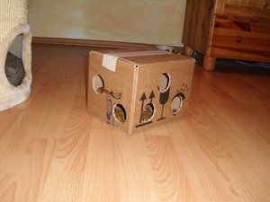 DSCI0047 (500x375).jpg