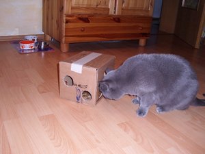 DSCI0048 (500x375).jpg