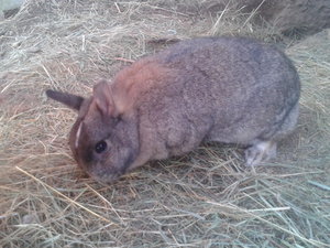 2013-01-31 11.05.44.jpg