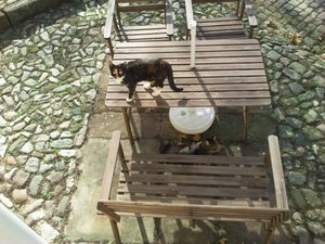 IMG-20121028-WA0001.JPG IMG-20121028-WA0001.JPG