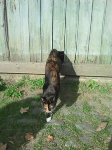 IMG-20121028-WA0000.JPG IMG-20121028-WA0000.JPG