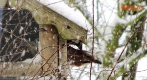 IMG_1190web.jpg IMG_1190web.jpg