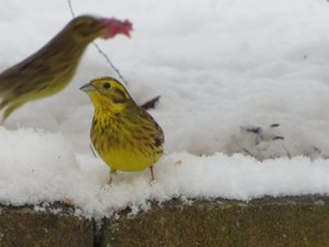 IMG_1228web.jpg IMG_1228web.jpg