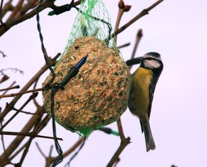 IMG_9888web.jpg IMG_9888web.jpg