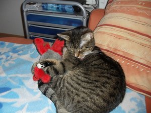 SDC10442.JPG SDC10442.JPG