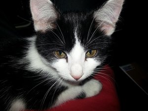 20121010_182756.jpg 20121010_182756.jpg