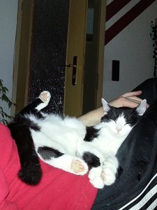 20121225_201528.jpg 20121225_201528.jpg