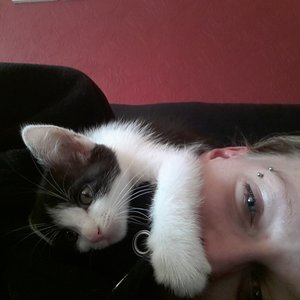 20120910_132315_1.jpg 20120910_132315_1.jpg