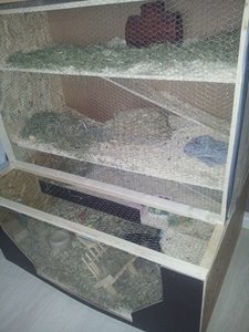 20130303_105717.jpg 20130303_105717.jpg