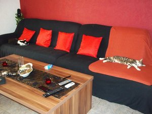 100_0993.JPG 100_0993.JPG