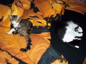 100_1021.JPG 100_1021.JPG