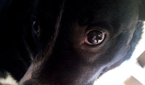 BEwTfsCCcAIw1Wx.jpg BEwTfsCCcAIw1Wx.jpg