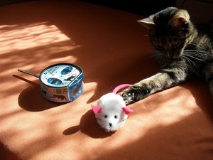 SDC10495.JPG SDC10495.JPG