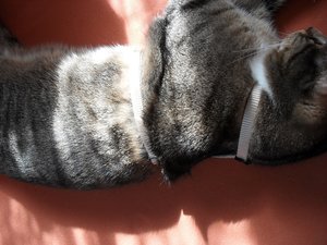 SDC10501.JPG SDC10501.JPG