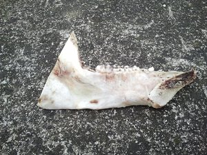 2013-03-10 16.41.19.jpg