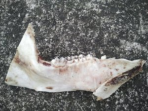 2013-03-10 16.41.25.jpg