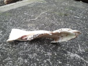 2013-03-10 16.42.06.jpg