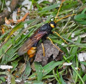 13727962sw.jpg 13727962sw.jpg