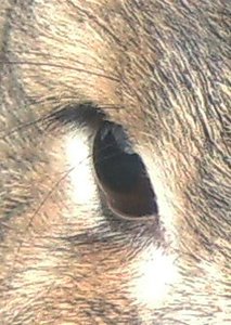 BILD1240.JPG BILD1240.JPG