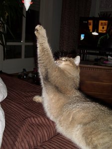 DSCI0014 (375x500).jpg