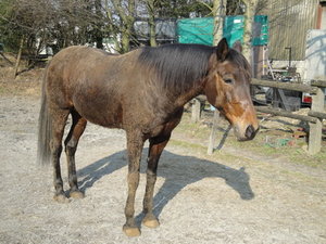 DSC06748_Bildgröße ändern.JPG