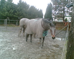 Bild024_Bildgröße ändern.jpg