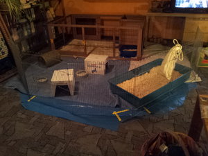 20130314_191723.jpg 20130314_191723.jpg