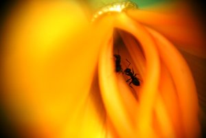 Stelzenhaus 2010 133web2.jpg