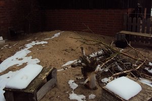 kaninchengehege 002.JPG