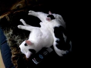 francis und junior3.jpg