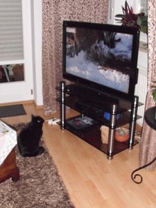 DSCI0098 (375x500).jpg