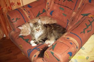 107_0798.JPG 107_0798.JPG