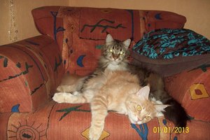 107_0633.JPG 107_0633.JPG