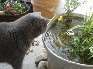 2012-05-09 14.51.33 (500x375).jpg