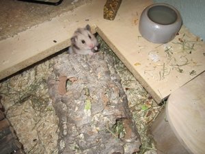 IMG_0682 (640x480).jpg IMG_0682 (640x480).jpg