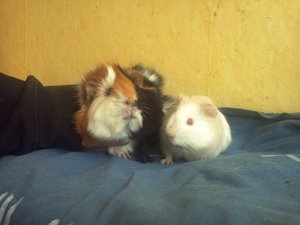 img5621nru8.jpg img5621nru8.jpg