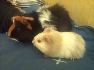 img563jtp57.jpg img563jtp57.jpg