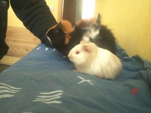 img564d3r1w.jpg img564d3r1w.jpg