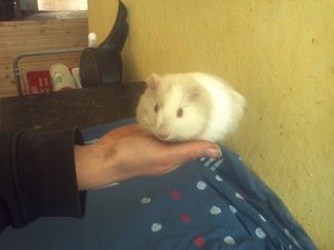 img568z9r5s.jpg img568z9r5s.jpg