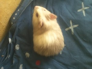 img569ybo8o.jpg img569ybo8o.jpg