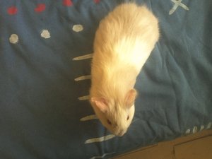 img5701pqot.jpg img5701pqot.jpg