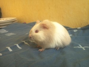 img572uwrch.jpg img572uwrch.jpg