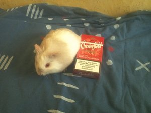 img573i8o02.jpg img573i8o02.jpg