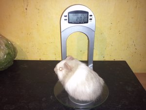 img585bjqf2.jpg img585bjqf2.jpg