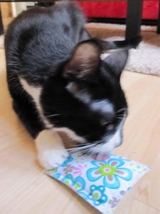 IMG_6624.jpg IMG_6624.jpg