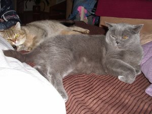 DSCI0003 (500x375).jpg