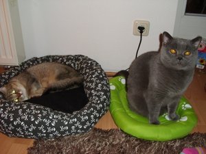 DSCI0010 (500x375).jpg