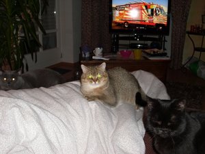 DSCI0021 (500x375).jpg