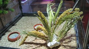 IMG_0991web.jpg IMG_0991web.jpg